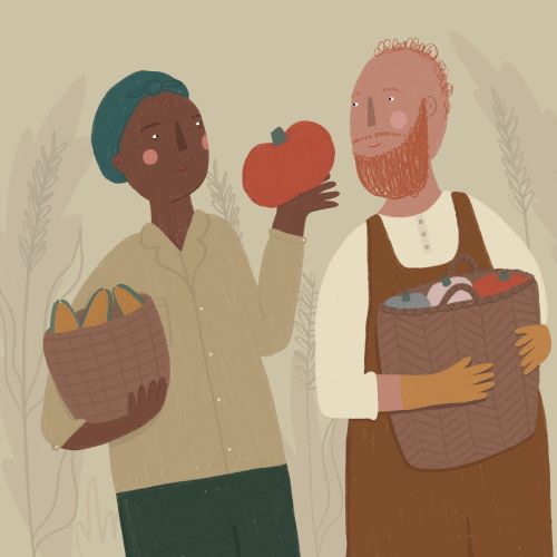 Vegetable harvest